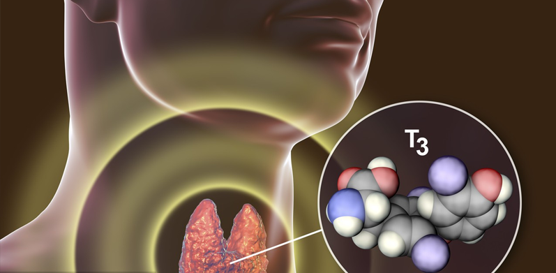 親愛(ài)的甲狀腺，你還好嗎？